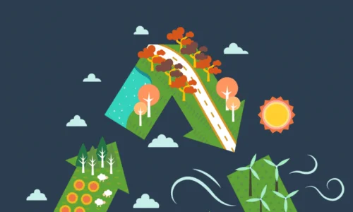 course thumbnail