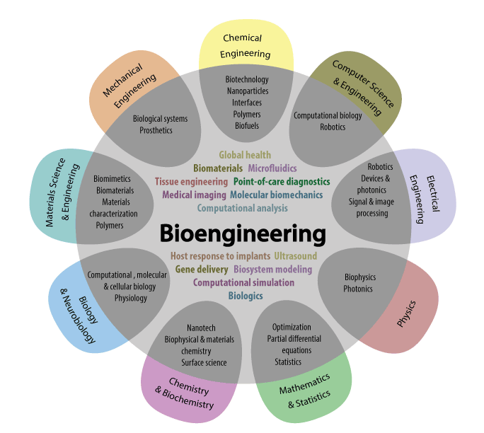bioengineering-vs-other-disciplines-alt1
