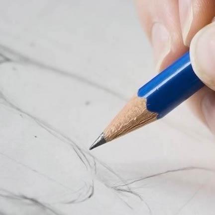 drawing-florence